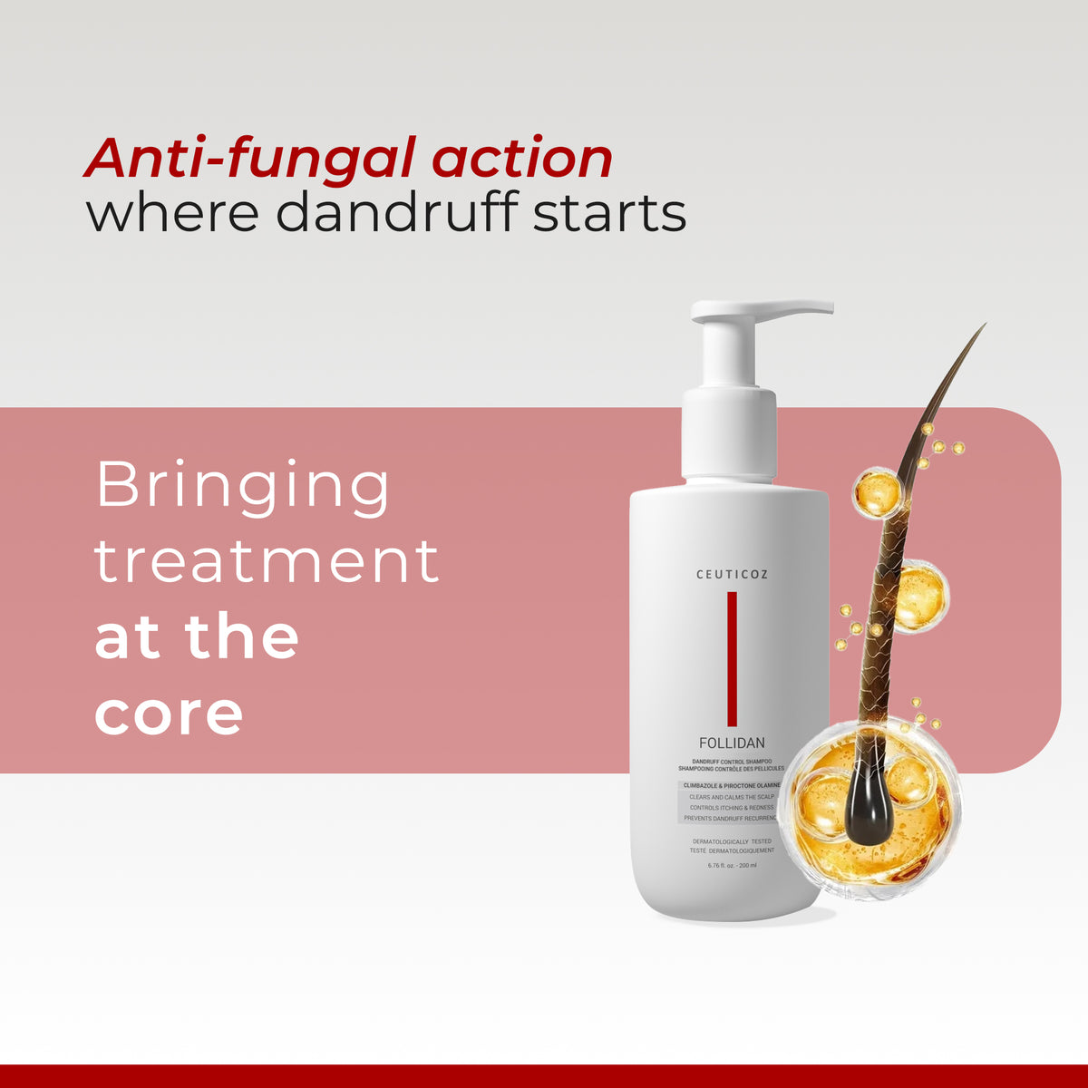 Follidan Anti Dandruff Shampoo | Flake Control & Scalp Relief