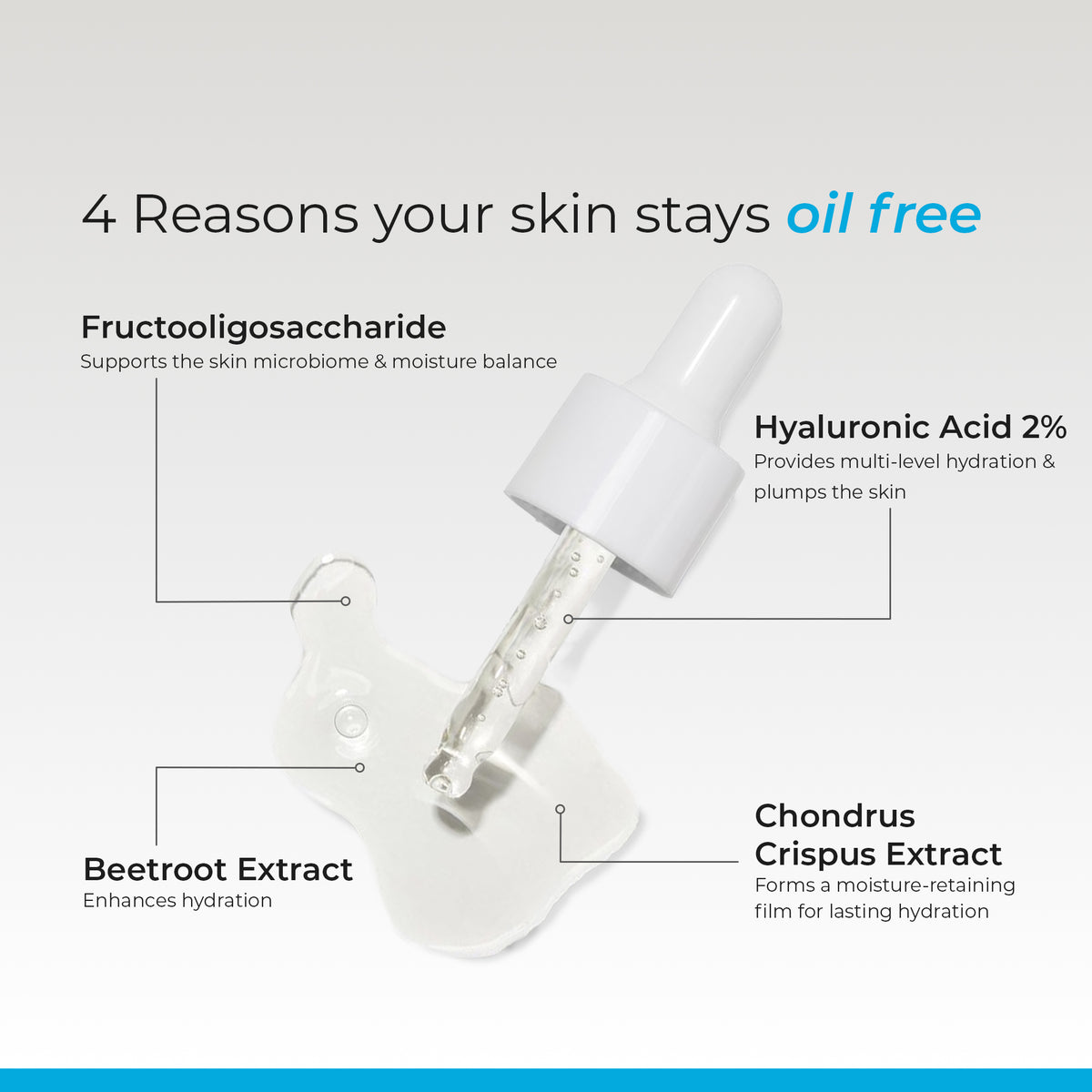 Hebeda 2% Hyaluronic Acid Serum | Deep Hydration, Plump & Smooth Skin